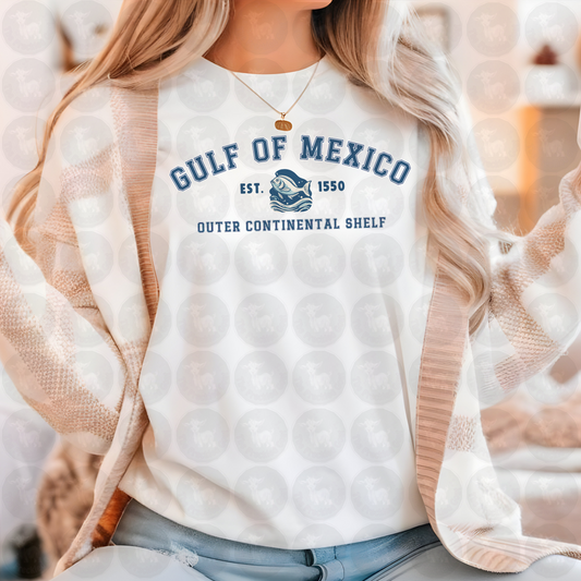 Gulf of Mexico Established Digital Design Download